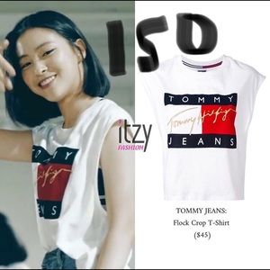 ISO Tommy jeans flock crop tee